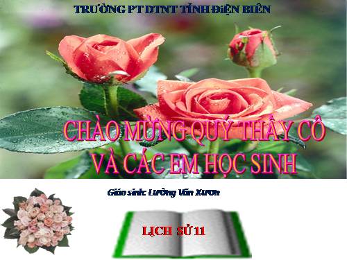 Bài 21. Phong trào yêu nước chống Pháp của nhân dân Việt Nam trong những năm cuối thế kỉ XIX