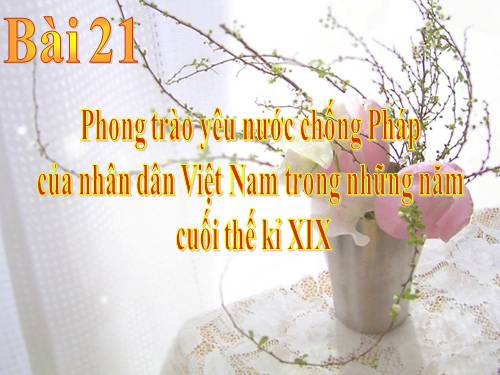 Bài 21. Phong trào yêu nước chống Pháp của nhân dân Việt Nam trong những năm cuối thế kỉ XIX