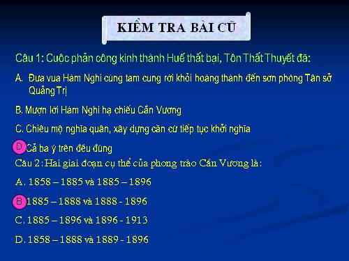 Bài 21. Phong trào yêu nước chống Pháp của nhân dân Việt Nam trong những năm cuối thế kỉ XIX