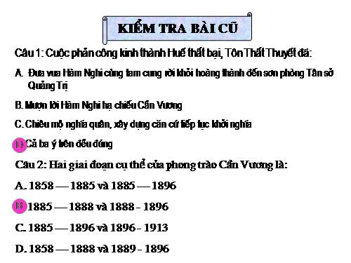 Bài 21. Phong trào yêu nước chống Pháp của nhân dân Việt Nam trong những năm cuối thế kỉ XIX