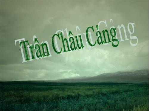 Trân châu cảng