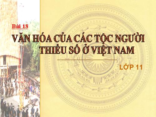 Bài 18: Văn hóa của các tộc người thiểu số trong cộng đồng dân tộc Việt Nam