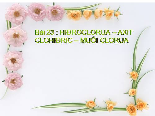 Bài 23. Hiđro clorua - Axit clohiđric và muối clorua