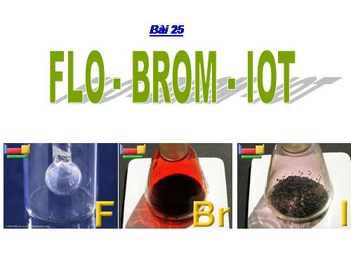 Bài 25. Flo - Brom - lot