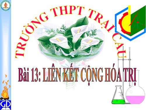 Bài 13. Liên kết cộng hoá trị