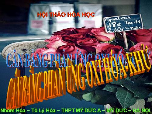 Bài 20. Bài thực hành số 1. Phản ứng oxi hoá - khử