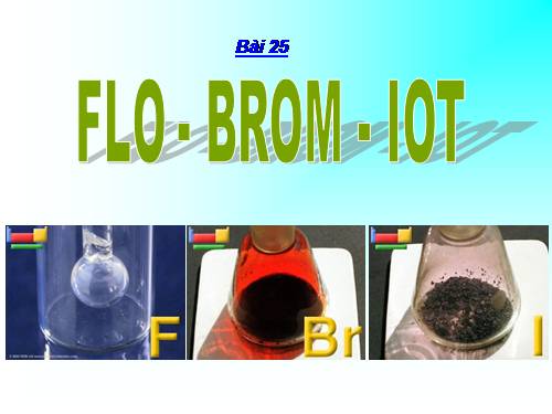 Bài 25. Flo - Brom - lot