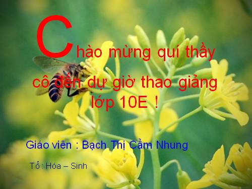 Bài 7. Bảng tuần hoàn các nguyên tố hoá học