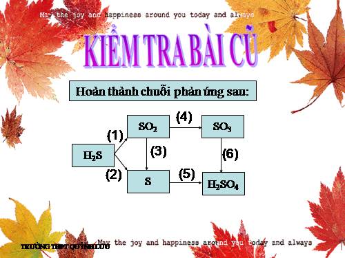 Bài 33. Axit sunfuric - Muối sunfat