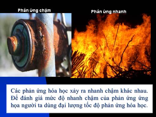 Bài 36. Tốc độ phản ứng hoá học