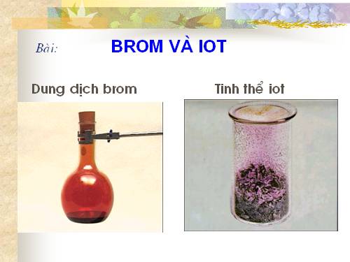 Bài 25. Flo - Brom - lot