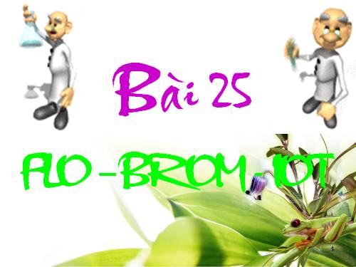 Bài 25. Flo - Brom - lot