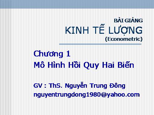 HN DN: STGT kinh tế lượng  S2