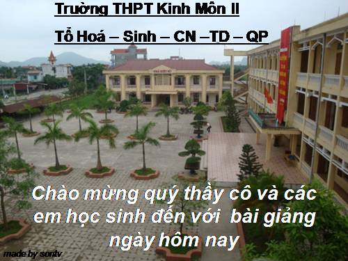 Bài 12. Liên kết ion - Tinh thể ion