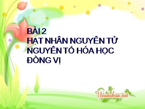 Bài 2. Hạt nhân nguyên tử - Nguyên tố hoá học - Đồng vị