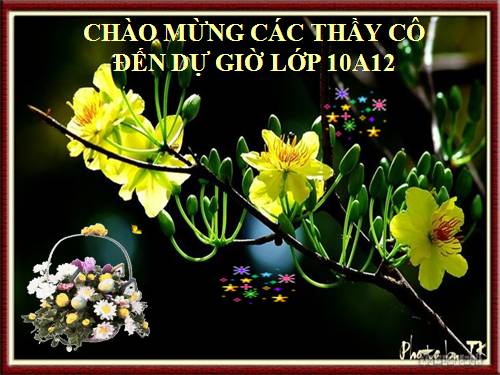 Bài 10. Ý nghĩa của bảng tuần hoàn các nguyên tố hoá học