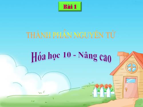 bài : NGUYÊN TỬ. HOA10 NC