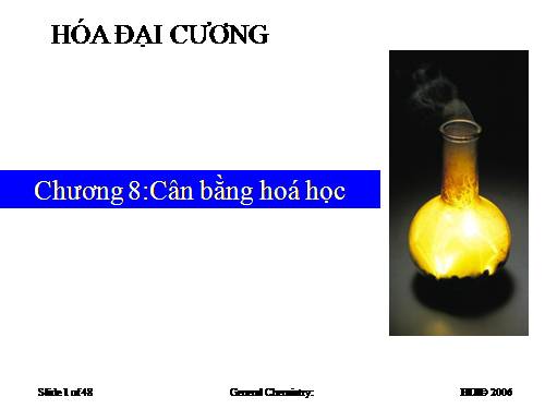 Bài 38. Cân bằng hoá học