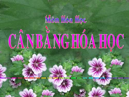 Bài 38. Cân bằng hoá học