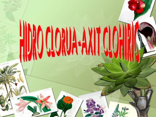 Bài 23. Hiđro clorua - Axit clohiđric và muối clorua