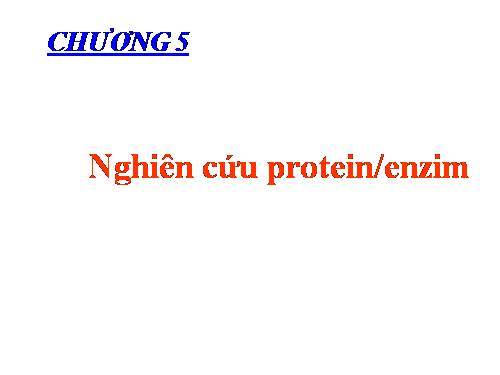 Nghien_cuu_protein