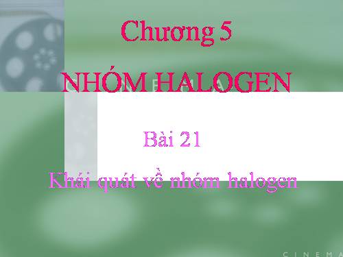 Bài 21. Khái quát về nhóm halogen