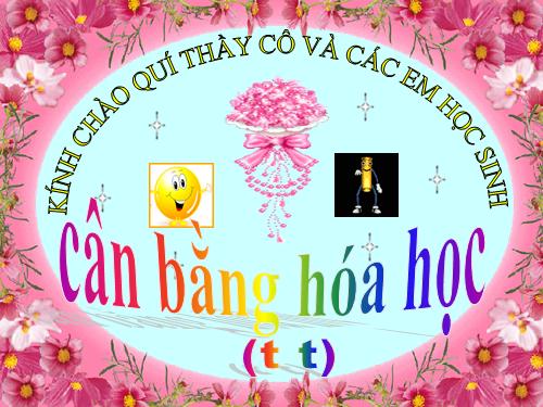 Bài 38. Cân bằng hoá học