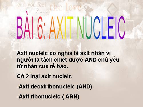 axit nucleic