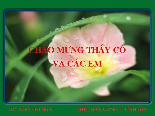 Bài 12. Liên kết ion - Tinh thể ion