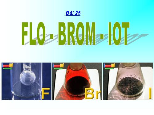 Bài 25. Flo - Brom - lot