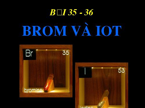 Bài 25. Flo - Brom - lot