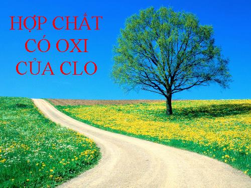 Bài 24. Sơ lược về hợp chất có oxi của clo