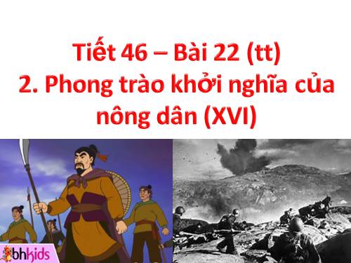 Bài 22. Sự suy yếu của nhà nước phong kiến tập quyền (thế kỉ XVI - XVIII)