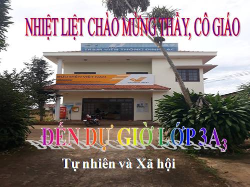 Bài 29. Các hoạt động thông tin liên lạc