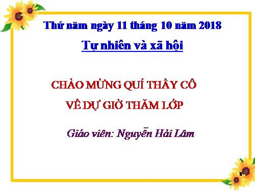 Bài 12. Cơ quan thần kinh