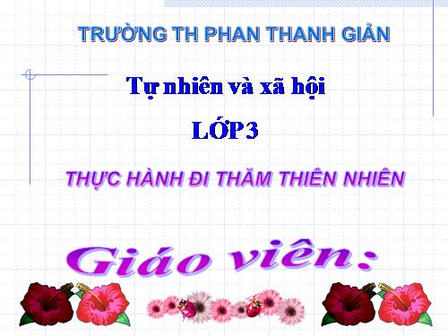 Bài 56 - 57. Thực hành: Đi thăm thiên nhiên