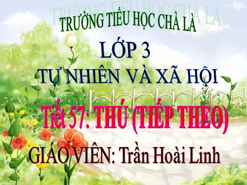 Bài 55. Thú (tiếp theo)