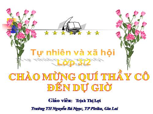 Bài 44. Rễ cây (tiếp theo)