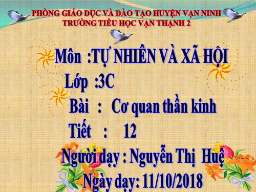 Bài 12. Cơ quan thần kinh