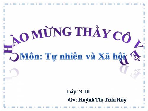 Bài 40. Thực vật