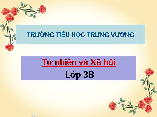 Bài 49. Động vật