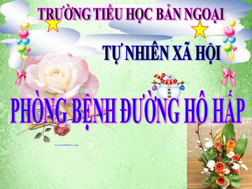 Bài 4. Phòng bệnh đường hô hấp