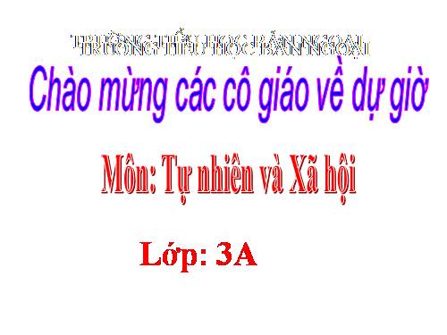 Bài 19. Các thế hệ trong một gia đình