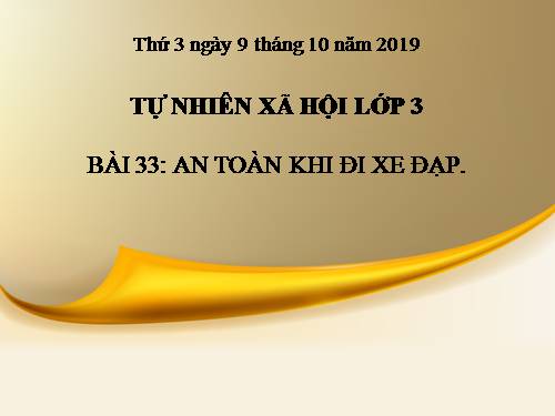 Bài 33. An toàn khi đi xe đạp