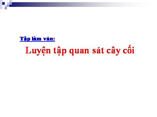 Tuần 22. Luyện tập quan sát cây cối