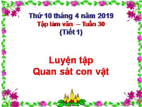 Tuần 30. Luyện tập quan sát con vật