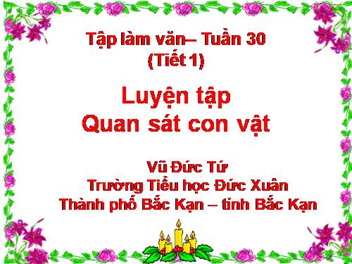 Tuần 30. Luyện tập quan sát con vật