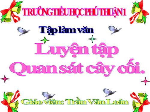 Tuần 22. Luyện tập quan sát cây cối