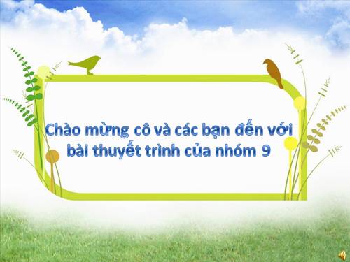 Bài 17. Chiến thắng lịch sử Điện Biên Phủ