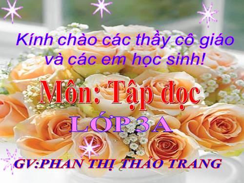 Tuần 4. Người mẹ